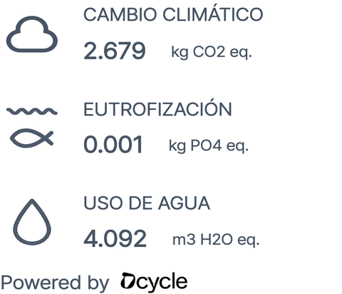 Bolso Book Holder DZ