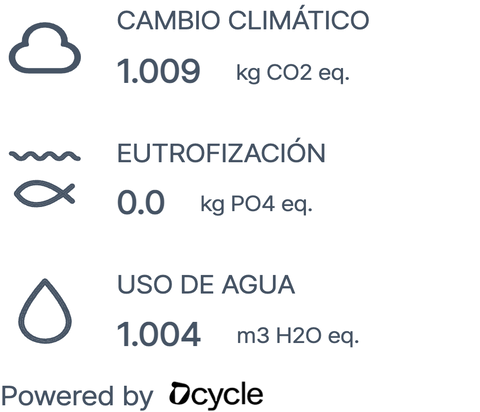 Mochila Mini Cuadrada Book Holder Impermeable DZ